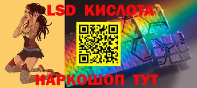 jwh Бийск
