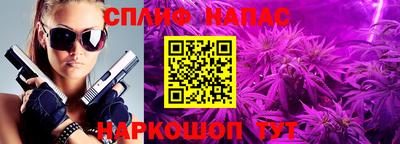 jwh Бийск