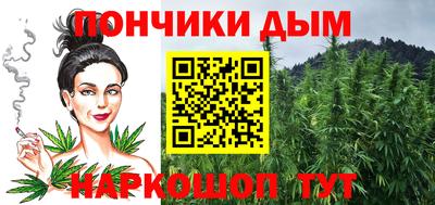 jwh Бийск