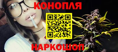 гашик Берёзовский