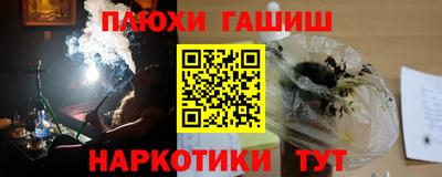 гашик Берёзовский