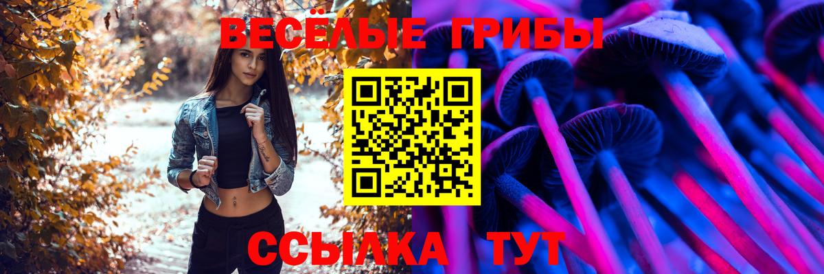 Галлюциногенные грибы прущие грибы Каменск-Шахтинский
